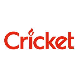 Cricket